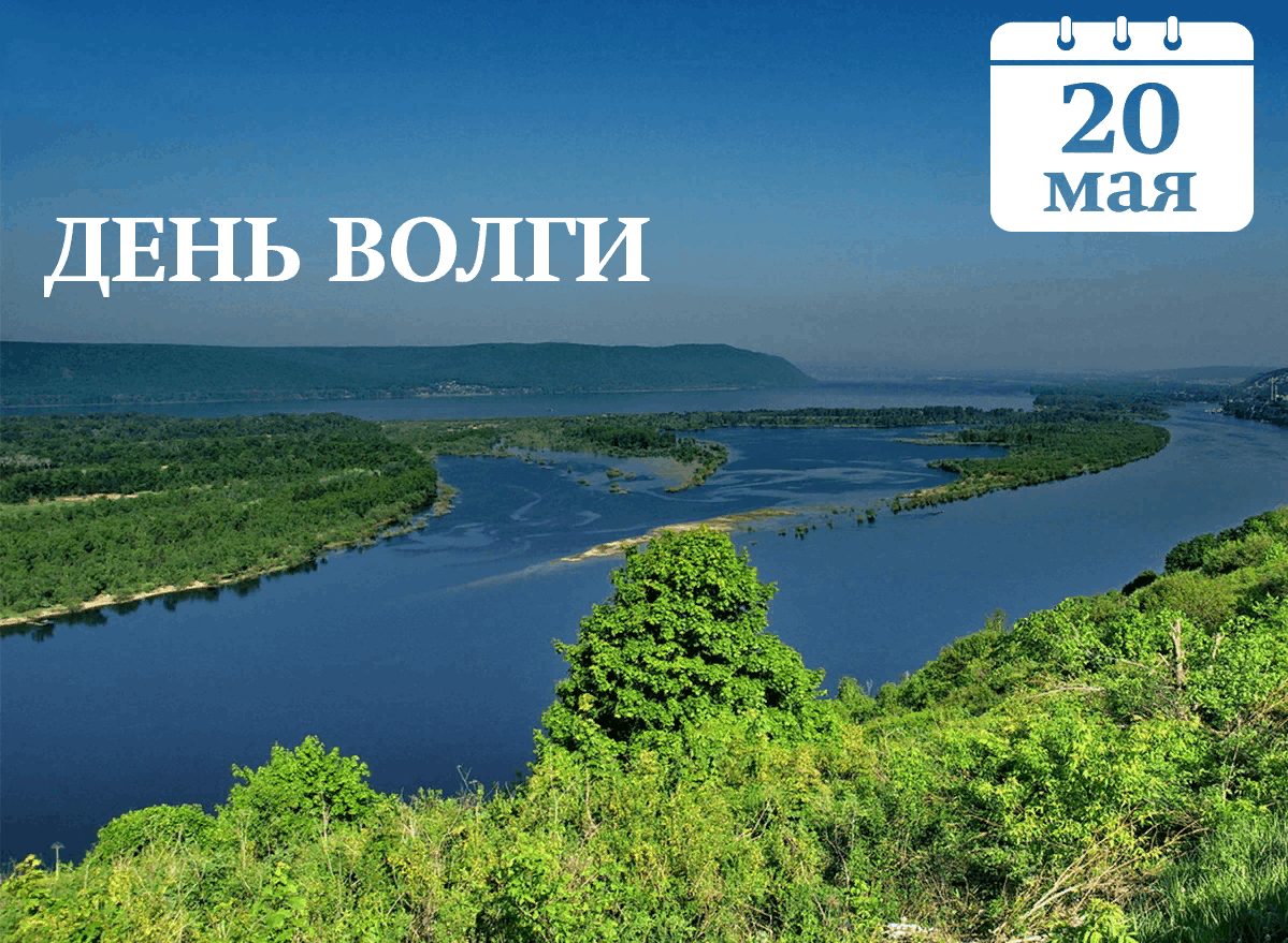 День волги.